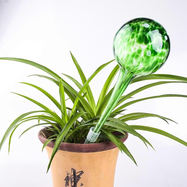 1 Styck Växt- och Blomvattendispenser Kontorsverktyg Glas Grön