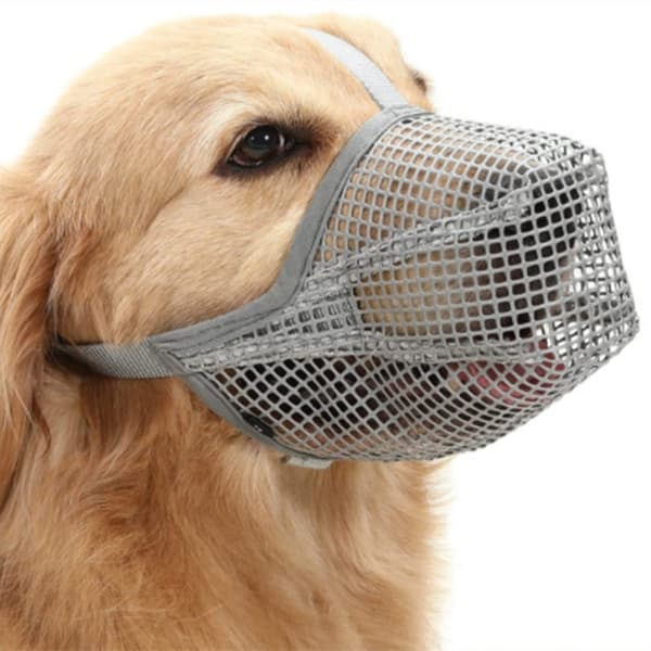 Hundmunkorg hundmask justerbar husdjursmunkorg hundmunkorg