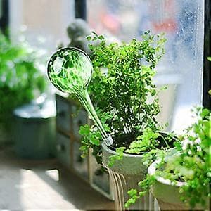 1 stk. Plante- og blomstervanddispenser Kontorværktøj Glas Grøn