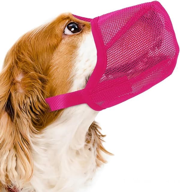 Hundmunkorg hundmask justerbar husdjursmunkorg hundmunkorg
