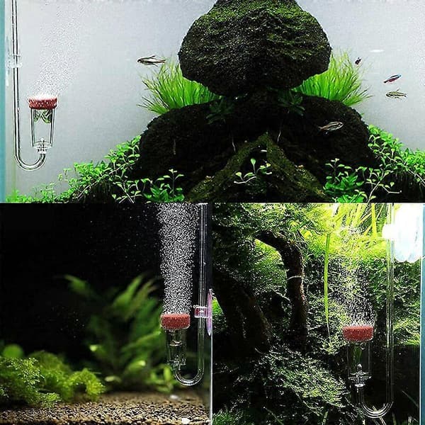 Akvarie CO2 Diffuser, Akvarie CO2 Akryl Diffuser med U-formet Rør til Akvarieplanter Græsvand - Transparent (S)