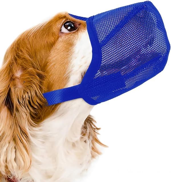 Hundmunkorg hundmask justerbar husdjursmunkorg hundmunkorg