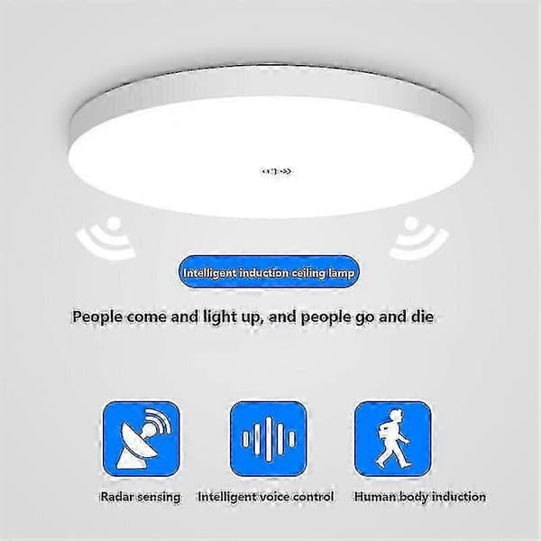 LED loftlampe med bevægelsessensor til indendørs gang, Smart Home-kompatibel (A03)