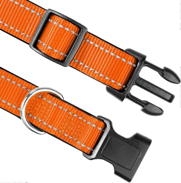 Nylon Hundehalsbånd med Refleksstribe, Klassisk Polstret Halsbånd til Store Hunde, Orange