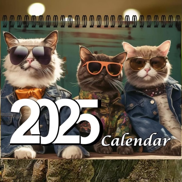 Snygg kattkalender 2025, söt kattkalender, rolig kalender, kattkalender, 12 månaders kalender, kalender 2025 2Pcs