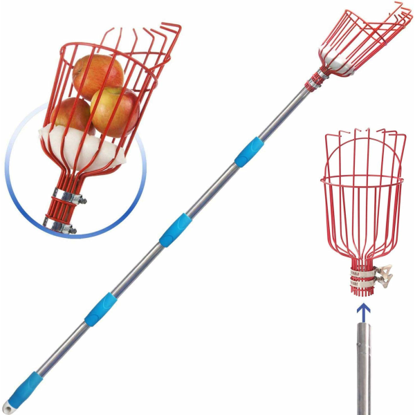 Telescopic Fruit Picker Pole Tool with Basket - Adjustable for Apple, Orange, Avocado, Mango Tree 2.4m