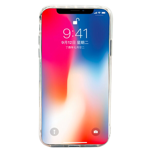 Skal i Retrodesign (Pink Flamingo) till iPhone X/XS