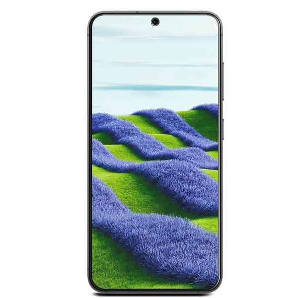 S25 FE Premium Glas
