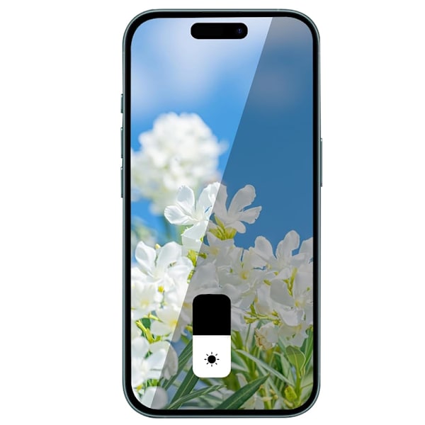 iPhone 16 Plus Anti-Spy Skärmskydd 0,3mm Svart