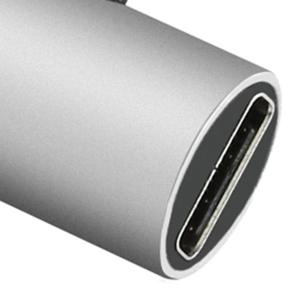 Type-C 2-1 Mini Adapter Laddare Silver