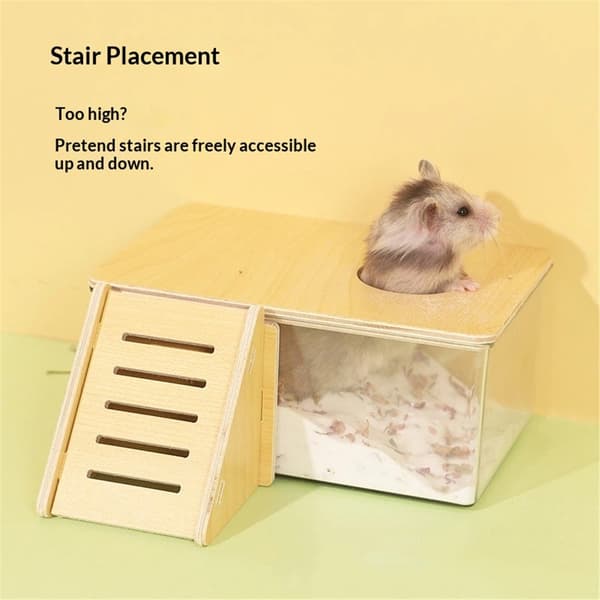 Hamster Sandbadlåda, Transparent Akryldusch