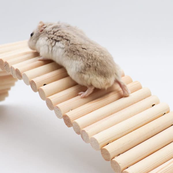 Klatrestige i tre for hamster (8*20CM)