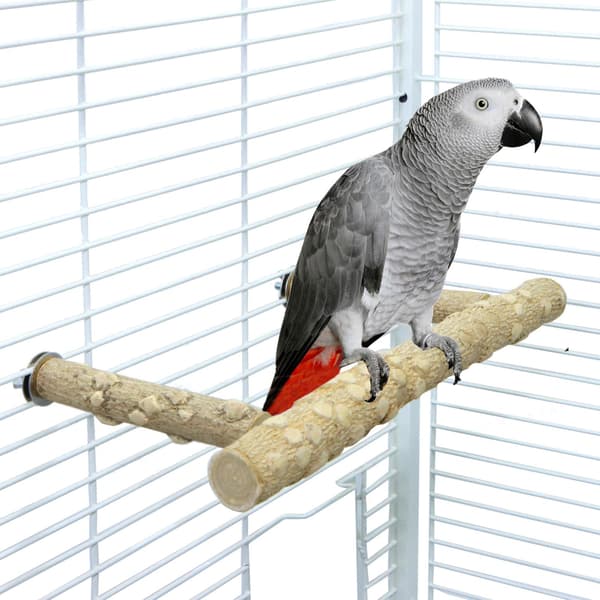 Pebertræ Papegøje Stand Gren, Træpind til Undulater Nymfeparakitter Conures Dværgpapegøjer