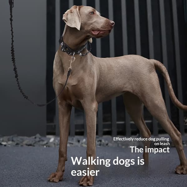 Taktiska militära hundkoppelkrokar Bungee hundkoppel Elastiskt Bungee-repkoppel