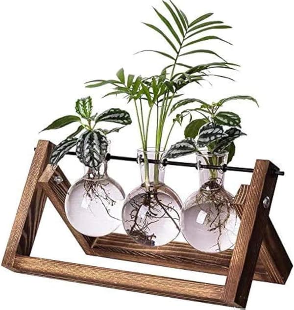 Plante Terrarium Formering Stasjon - 3 Glass Pære Vaser