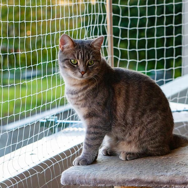 Kat net altan kæledyr net altan net til katte kæledyr altan mesh hegn net hund hegn net sort nylon kæledyr (3 * 6 meter)
