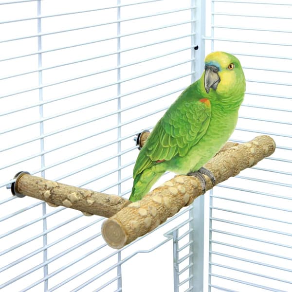 Pebertræ Papegøje Stand Gren, Træpind til Undulater Nymfeparakitter Conures Dværgpapegøjer