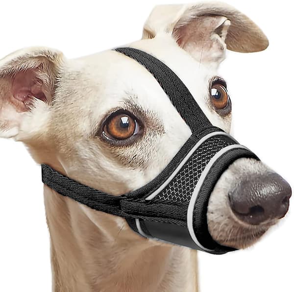 Hundmunkorg, Nylonmunkorg Anti-bitande Skällande Tuggande (S)
