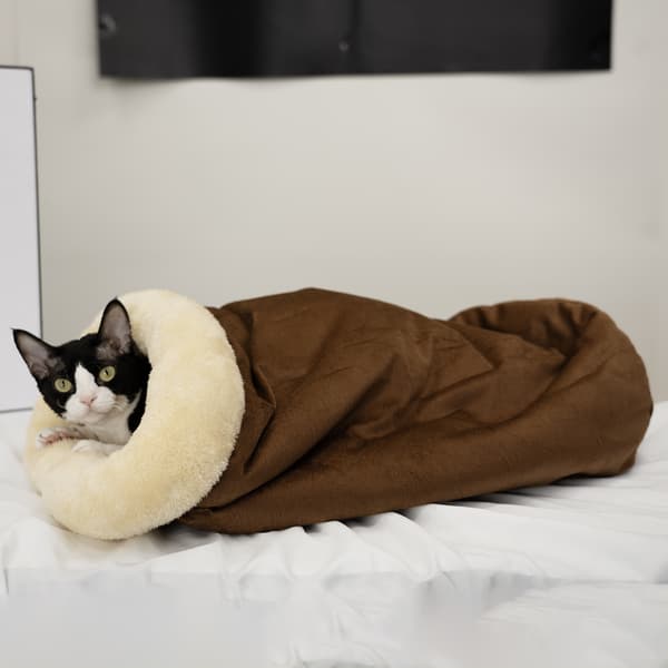 Vinter Katt Sovsäck Halvsluten Kattbo Varm Liten