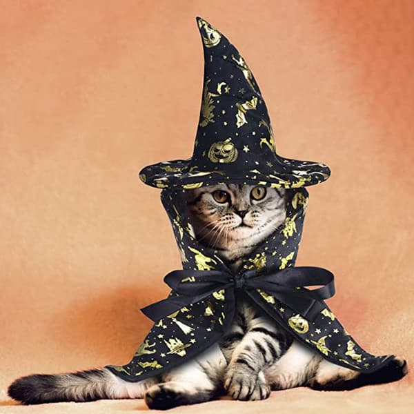 Halloween kæledyr sort heksekappe til cosplay festdekoration, katteheksehat cosplay kostumer til hvalpe killinger kæledyrstilbehør