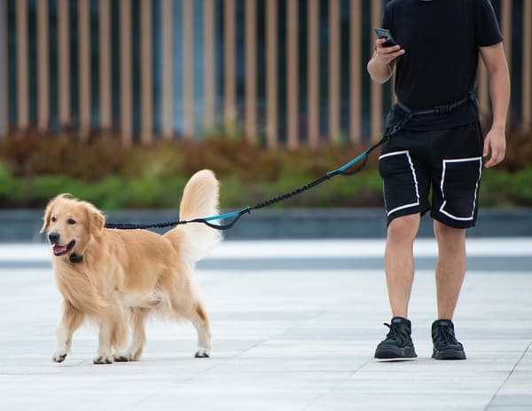 Håndfri midjebånd for løping og jogging, belte med dobbelthåndtak (blå)