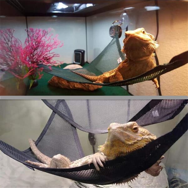 4-pack reptilhammockset, andningsbar nätödlehammock