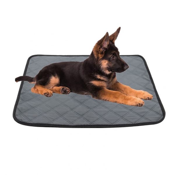 2-pack kissdynor, absorberande, läckagesäkra, husdjursvalpdynor för potträning. Ljusgrå (2-pack)