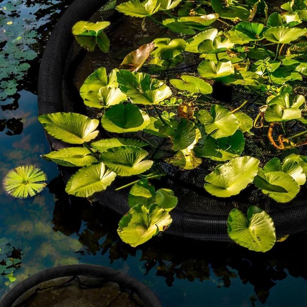 1 kpl kelluva Flora-kalasuoja, kelluva saari, kasvien suojus, pyöreä kelluva Flora-saari