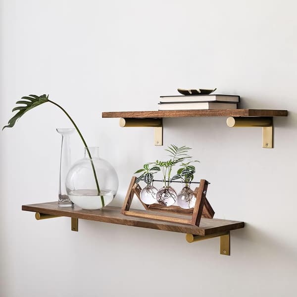 Plante Terrarium Formering Stasjon - 3 Glass Pære Vaser