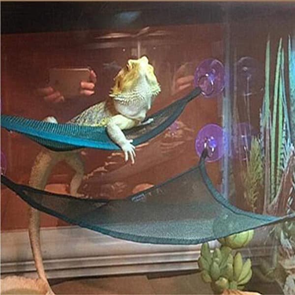 4-pack reptilhammockset, andningsbar nätödlehammock