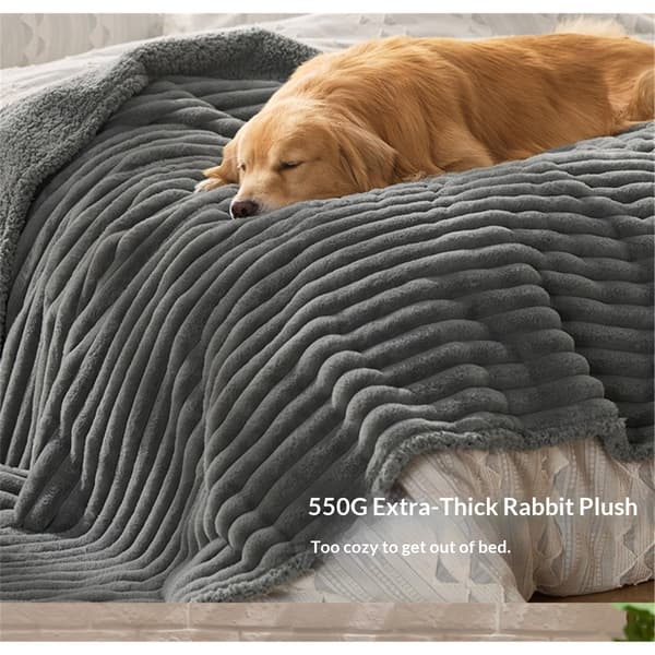 Bedsure Hundetæpper til store hunde - Kæledyr Katte Tæppe Fløjlsfleece til sofa sengebeskytter