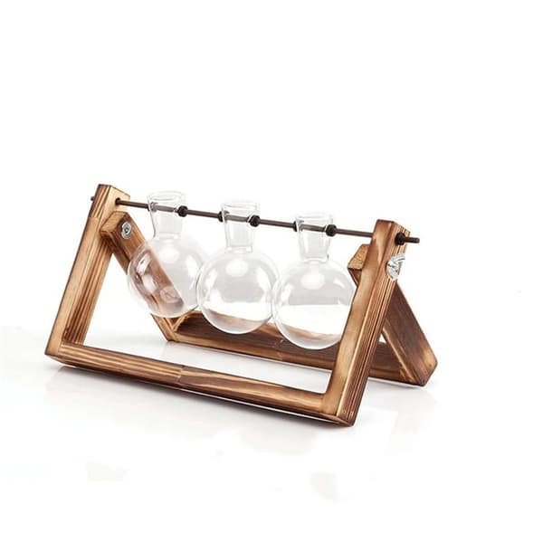 Plante Terrarium Formering Stasjon - 3 Glass Pære Vaser