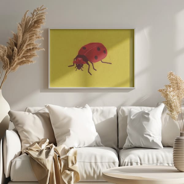 Ladybird Poster 70x50 cm