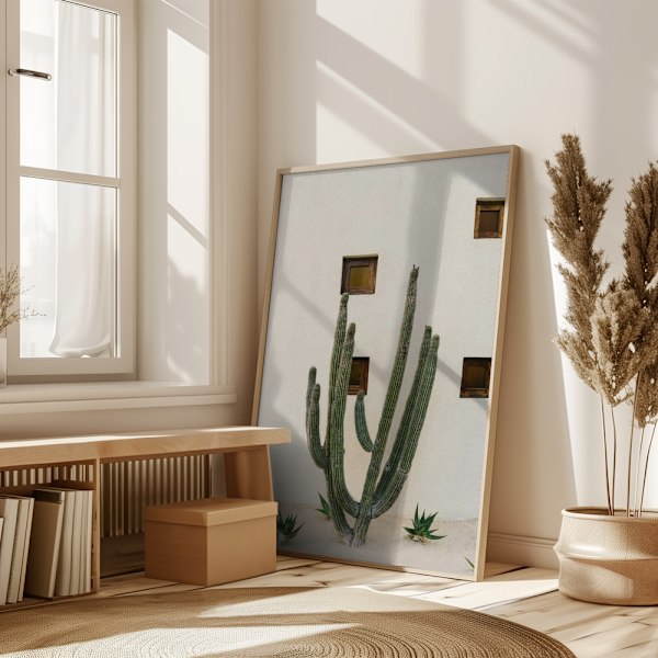Cabo Cactus Ix Poster 50x70 cm