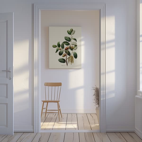 Botany   Quercus Ilex Canvastavla 50x70 cm