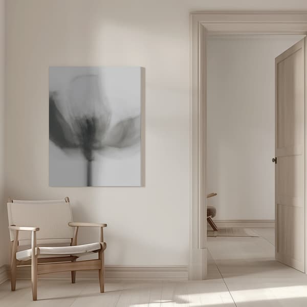 Mono Tulip Canvastavla 50x70 cm