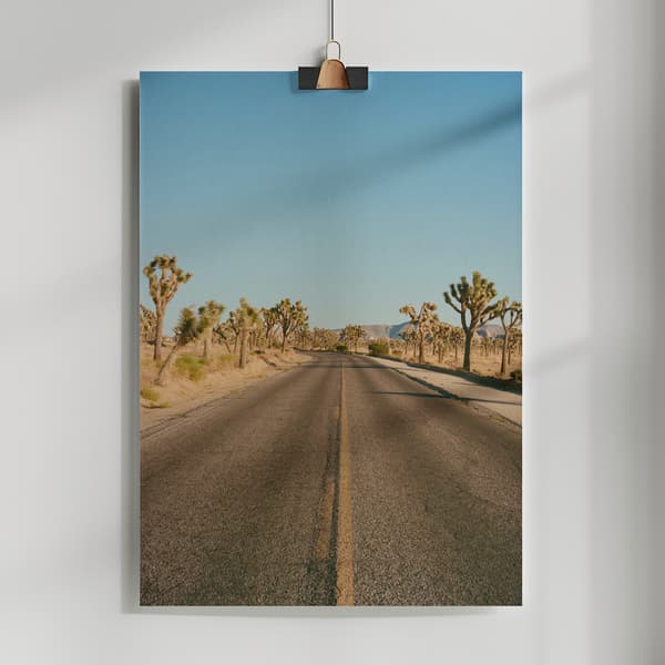 Joshua Tree Road II Poster 50x70 cm