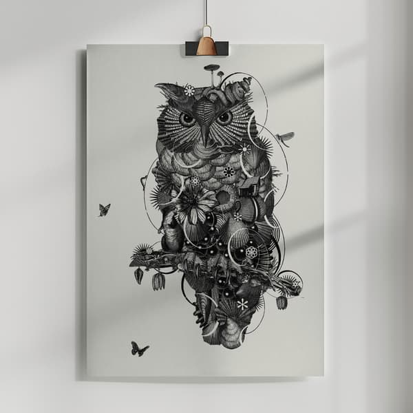 Owl Poster 50x70 cm