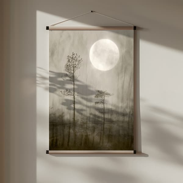 Moonlight, moor Poster 30x40 cm