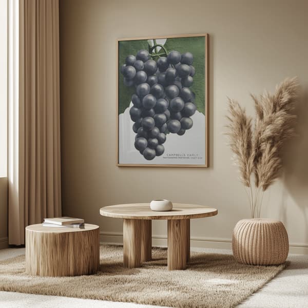 Campbell's Early Grape Lithograph Poster 50x70 cm