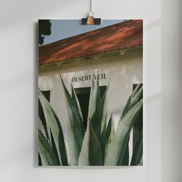 Desert Veil Poster 50x70 cm