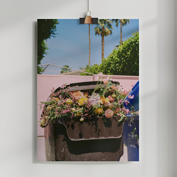 Palm Springs Curb Poster 50x70 cm