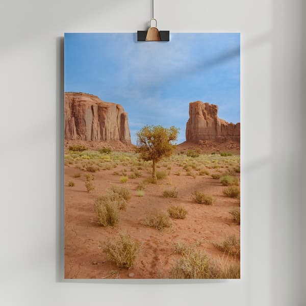 Monument Valley X Poster 50x70 cm
