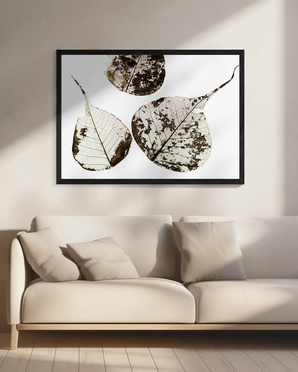 Fallen Leaves #0 Poster 70x50 cm
