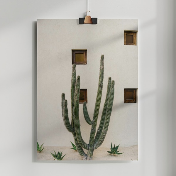 Cabo Cactus Ix Poster 50x70 cm