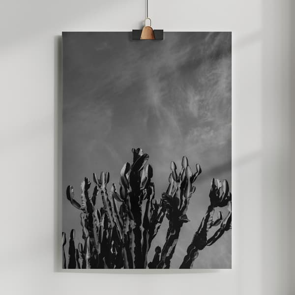 Monochrome Cactus Sky Poster 50x70 cm