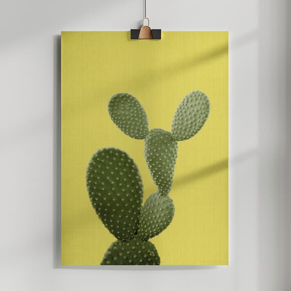 Yellow Cactus Poster 50x70 cm