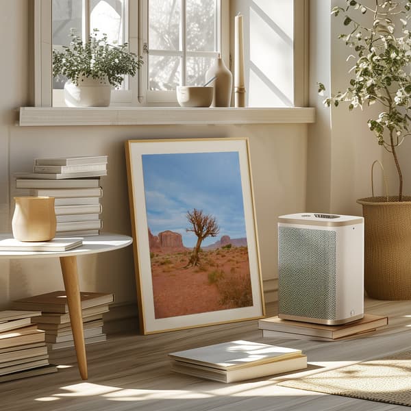 Monument Valley XI Poster 50x70 cm