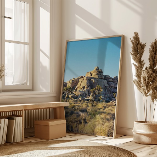 Joshua Tree Sunset Poster 50x70 cm