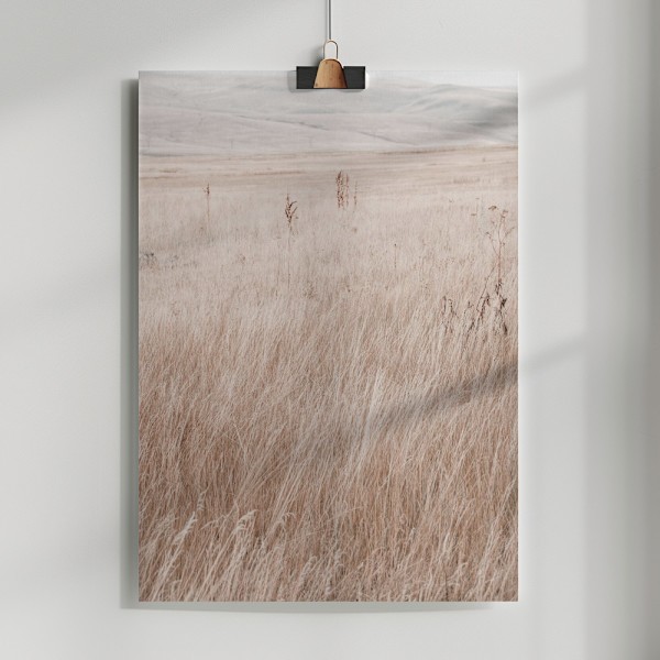 Grass in the mountains Poster 50x70 cm